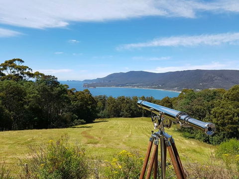 Eaglehawk Rainforest Retreat - Accommodation Perth 0
