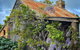 Cherry Plum Cottages - thumb 1