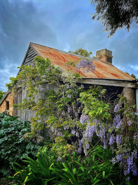 Cherry Plum Cottages - Accommodation Perth 1