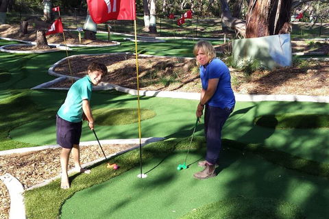 Bimbi Park - Camping Under Koala - Accommodation Perth 1