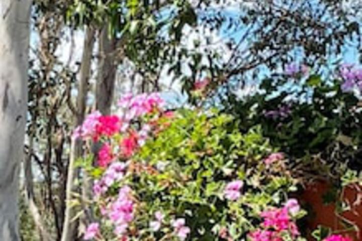 The Bluff QLD Accommodation Perth