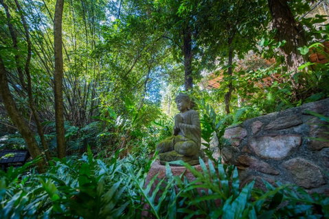 The Tree House. Treetop Living Near The Ocean Coolum Beach QLD Australia - Accommodation Perth 2