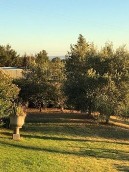 Eemnes Park Estate - Accommodation Perth 4