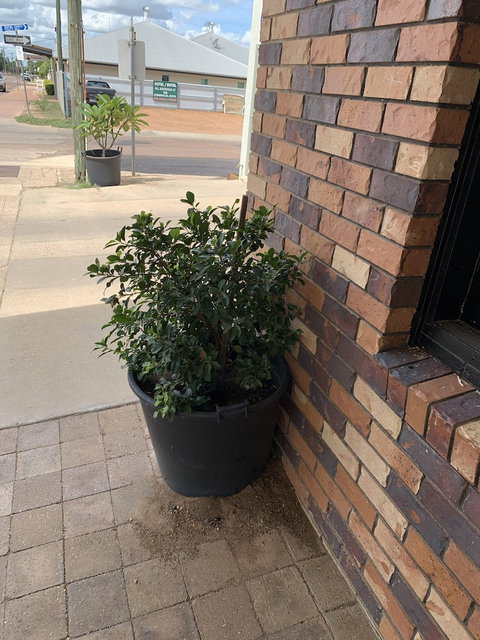 Central Motel - Perth Resorts 0