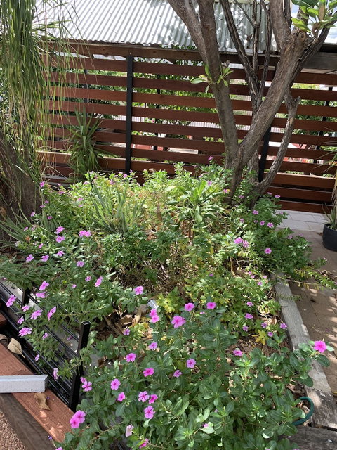 Central Motel - Perth Resorts 3