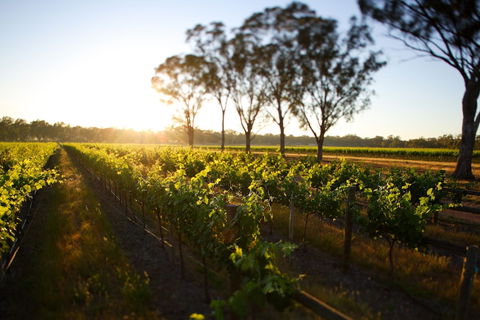 Balgownie Estate Winery Retreat & Restaurant - Accommodation Perth 6