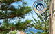 Mad Monkey Coogee Beach Hostel - thumb 0