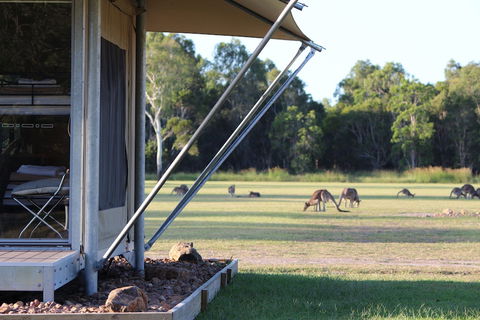 Habitat Noosa - Accommodation Perth 3
