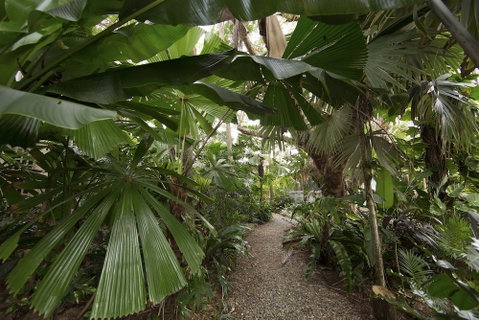 Castaways Resort & Spa Rainforest - Accommodation Perth 6