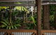 Castaways Resort & Spa Rainforest - thumb 0
