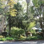 Two Sisters Chalets - Accommodation Perth 1