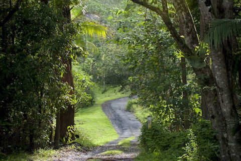 Nimbin Waterfall Retreat - Accommodation Perth 1
