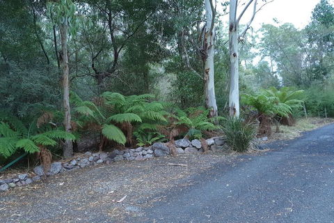 Roland B&B - Accommodation Perth 4