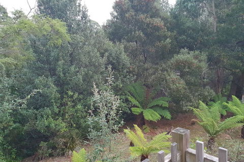 Roland B&B - Accommodation Perth 1