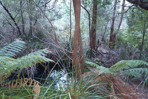 Roland B&B - Accommodation Perth 5