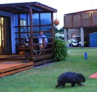 BIG4 Kelso Sands Holiday Park - Accommodation Perth
