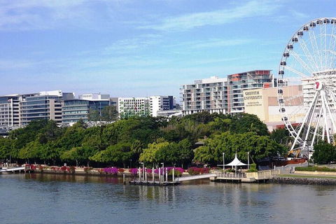 Bribane Chinatown 2bed Apt + Parking Pool Gym Qfv147 8 - Accommodation Perth 5