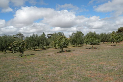 Thalia Getaway Villa - Accommodation Perth 2