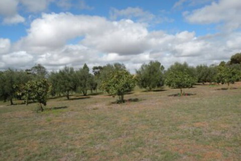 Thalia Getaway Villa - Accommodation Perth 3