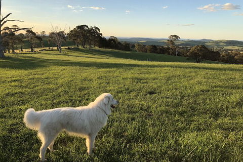 High Country Trail Rides & Farm Stay - Accommodation Perth 1