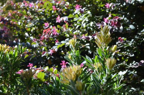 A Bach At Bright Bright VIC - Accommodation Perth 4