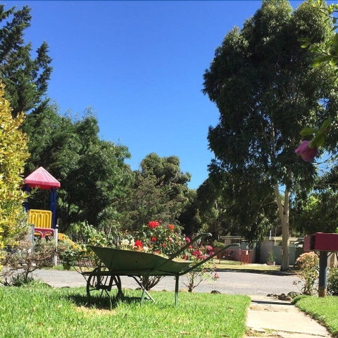 Acacia Caravan Park - Accommodation Perth 6
