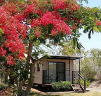 Mt Larcom Tourist Park - Accommodation Perth