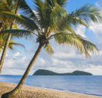 Eden Oceans Edge Palm Cove - Perth Resorts