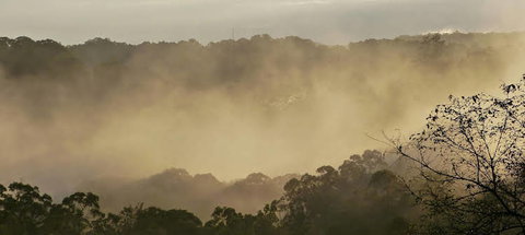 Simba Sunrise Bed & Breakfast - Accommodation Perth 1