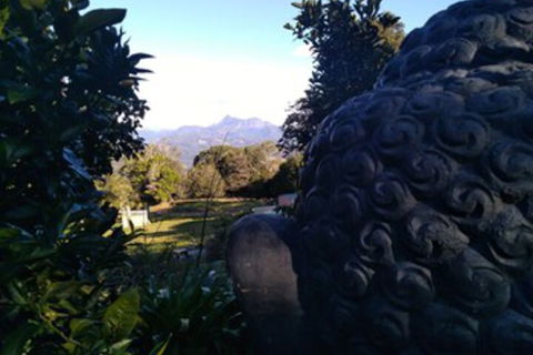 Ruah Rain Forest Retreat - Accommodation Perth 0