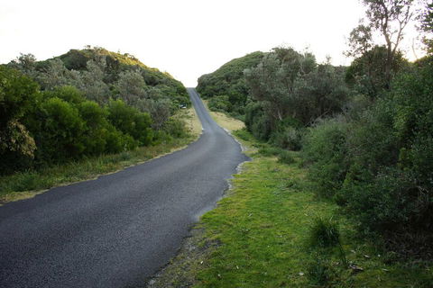 Venus Escapes Guesthouse - Perth Resorts 2