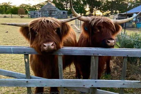 Straw House Farm B & B - Perth Resorts 4