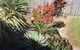 Park View Apartments - thumb 7