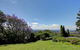 Magnolia - thumb 5