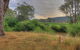 Buffalo River Homestead - thumb 3