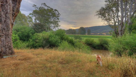 Buffalo River Homestead - Accommodation Perth 3