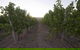Barristers Block Vigneron Villa - thumb 4