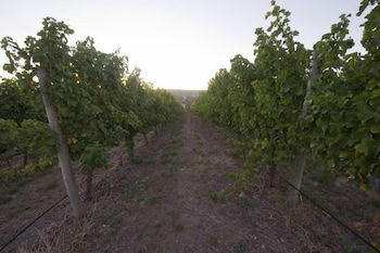 Barristers Block Vigneron Villa - Accommodation Perth 4