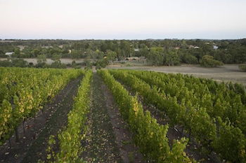 Barristers Block Vigneron Villa - Accommodation Perth 3