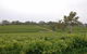 Barristers Block Vigneron Villa - thumb 6