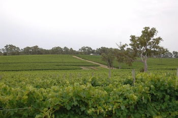 Barristers Block Vigneron Villa - Accommodation Perth 6