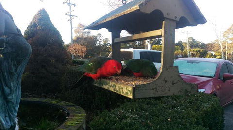 Grand Country Lodge Motel - Accommodation Perth 3