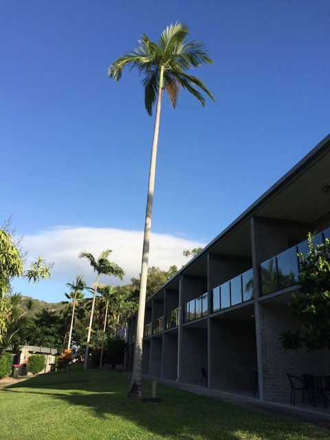 Arcadia Village Motel - Perth Resorts 2