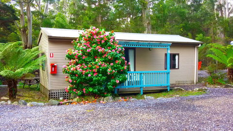 BIG4 Strahan Holiday Retreat - Accommodation Perth 6