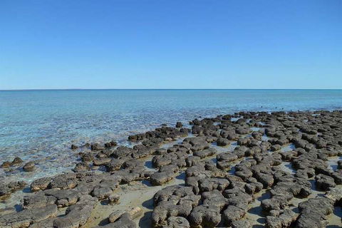 Hamelin Pool Caravan Park - Perth Resorts 4
