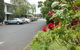 Ringwood Motel - thumb 1