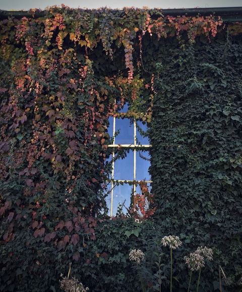 Berida Hotel - Accommodation Perth 0