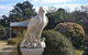 Mulberry Cottage B&B - thumb 4