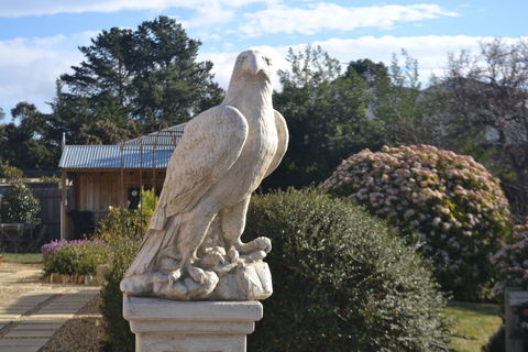 Mulberry Cottage B&B - Perth Resorts 4