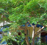 Amber Gardens Guesthouse - Perth Resorts